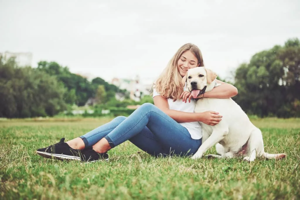 LabraFamily Labradors
