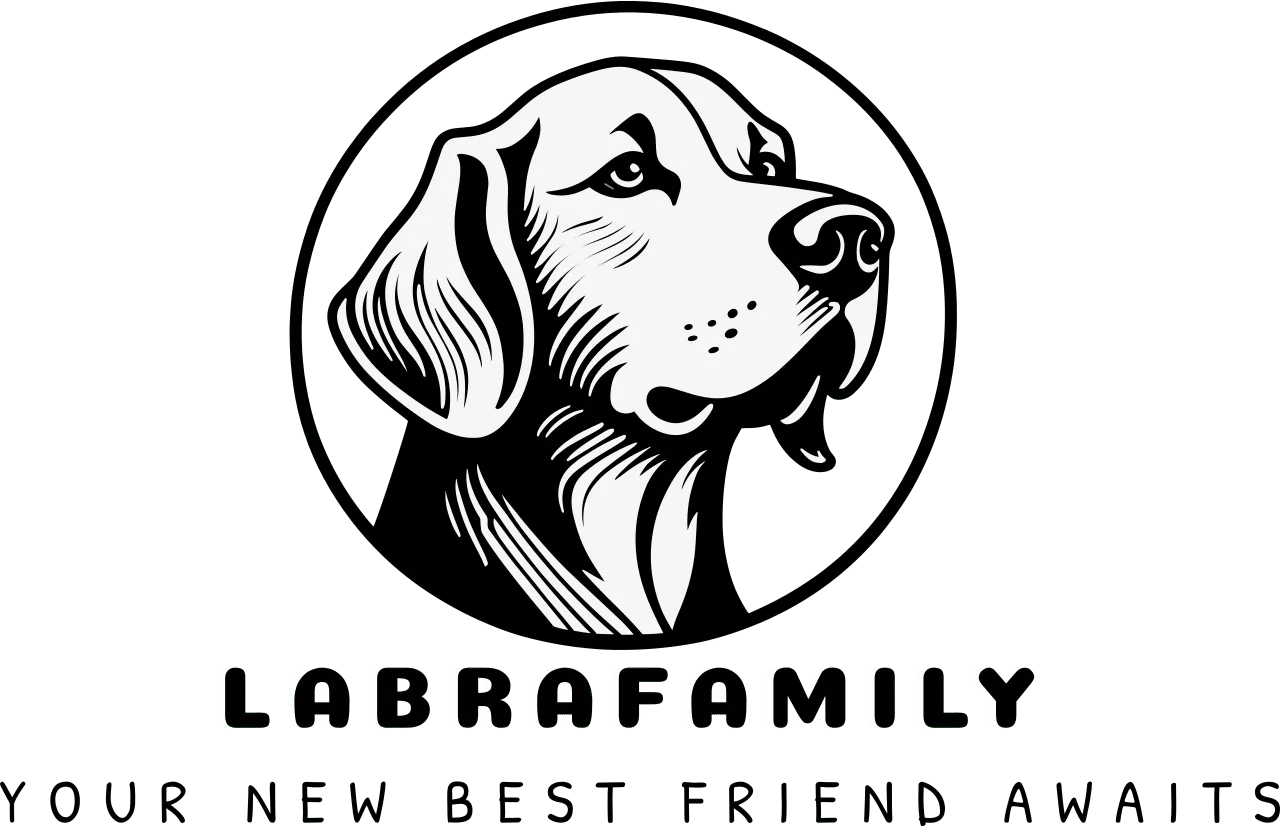 Kennel Labrador — LabraFamily