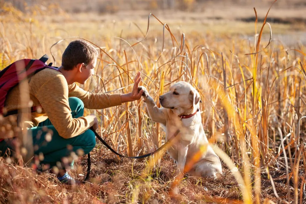 Soins — LabraFamily