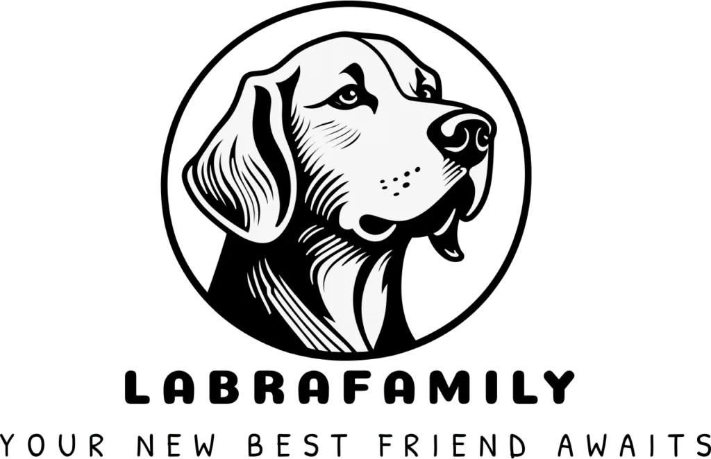 Élevage Labrador — LabraFamily