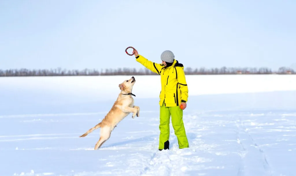 Training — LabraFamily